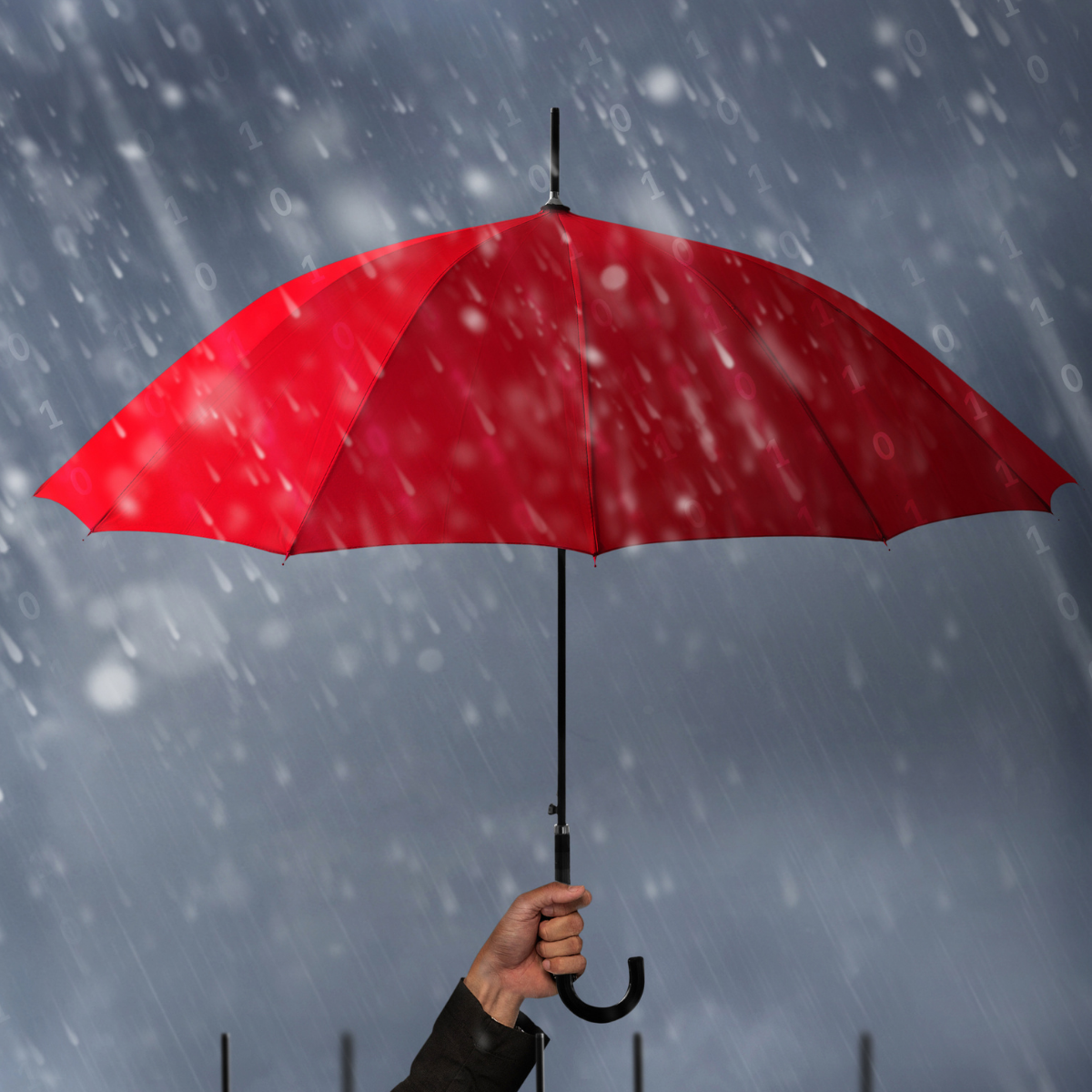 一把雨傘被高舉來遮擋風雨